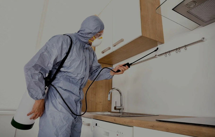 Poway pest managment